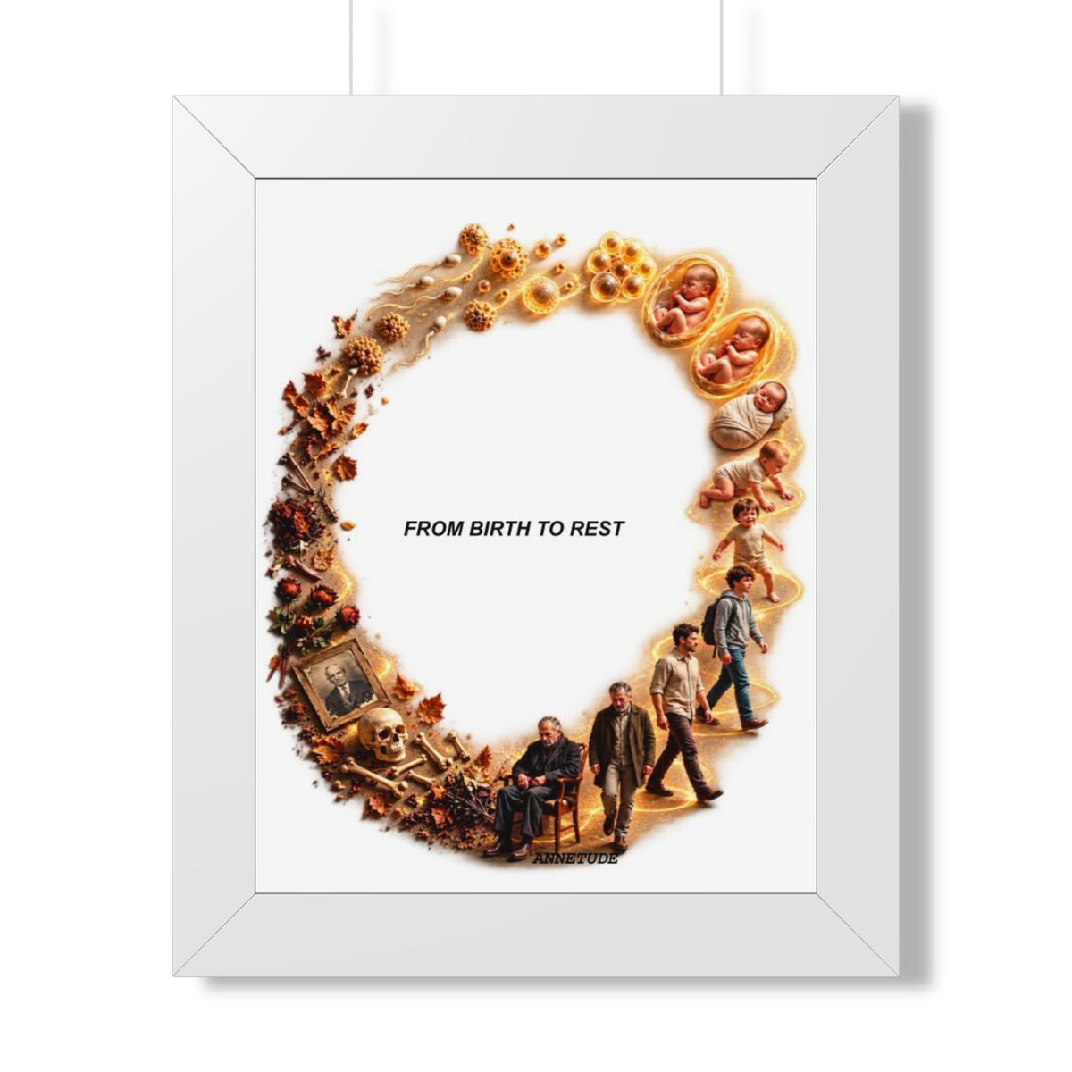 Framed Poster — "From Birth to Rest" Life Cycle Art Print