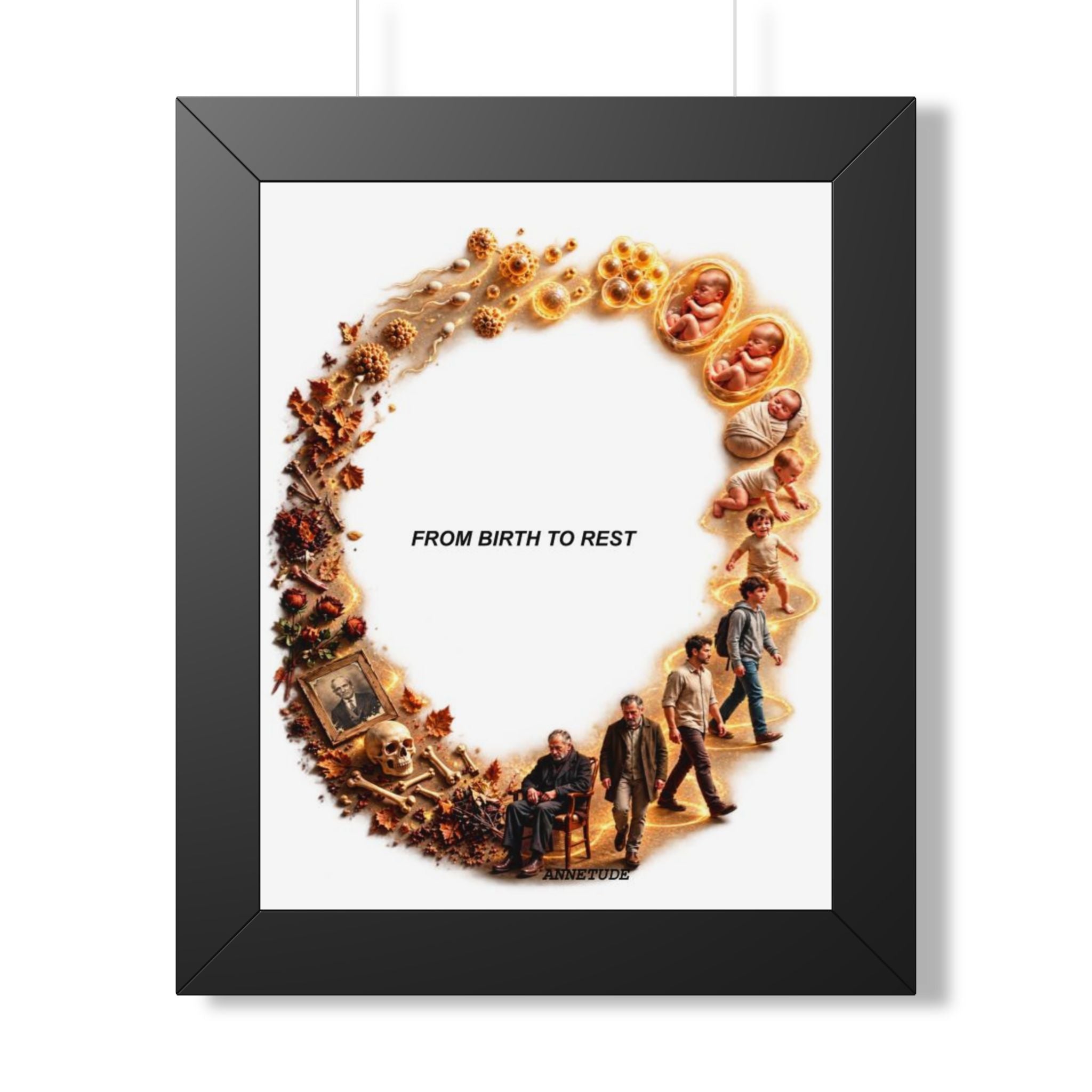 Framed Poster — "From Birth to Rest" Life Cycle Art Print