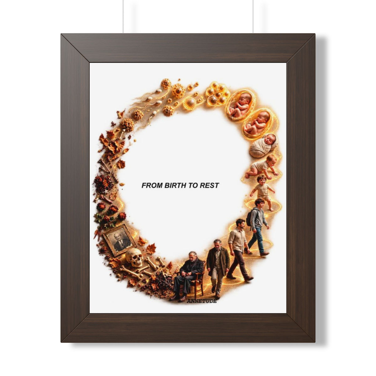 Framed Poster — "From Birth to Rest" Life Cycle Art Print